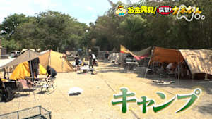 有吉のお金発見　突撃！カネオくん　技ありアイテム続々！キャンプの最前線