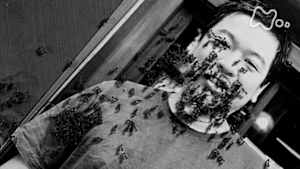 ドキュメント２０ｍｉｎ．　蟻（あり）と人間とぼく　アーティスト・中村智道