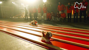 魔改造の夜　第１弾