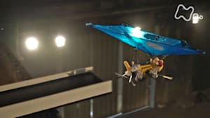 魔改造の夜　ネコちゃん落下２５ｍ走