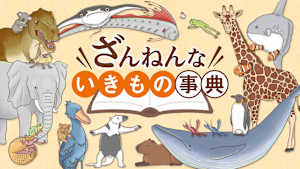 【見逃し】ざんねんないきもの事典 ＃24 ［セレクション］