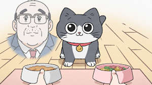 ねこに転生したおじさん 第41話 工夫