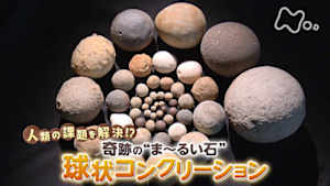サイエンスＺＥＲＯ　人類の課題を解決！？奇跡のま～るい石　球状コンクリーション