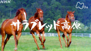 よみがえる新日本紀行　サラブレッド高原～北海道・日高～