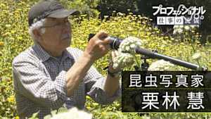 プロフェッショナル　栗林慧（昆虫写真家）