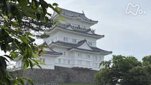 絶対行きたくなる！ニッポン不滅の名城　小田原城
