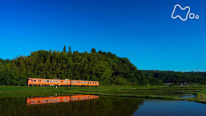 中井精也の絶景！てつたび　初夏の岡山　晴れの国の鉄路を行く！