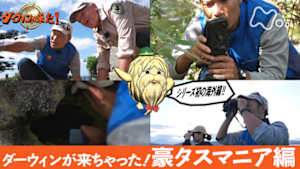 ダーウィンが来た！　ダーウィンが来ちゃった！豪・タスマニア編