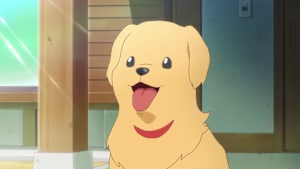 第28話 わんわん！きゅーちゃんと一緒！