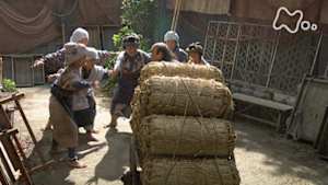 歴史探偵　米騒動