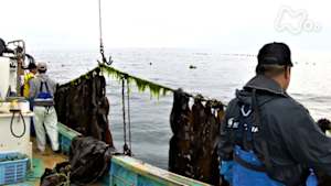 小さな旅　秘境の海　いつまでも　～北海道　知内町小谷石～