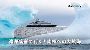 【見逃し】豪華客船で行く！南極への大航海：ダンコ島ハイキング
