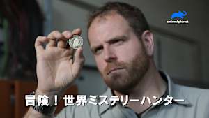 【見逃し】冒険！世界ミステリーハンター シーズン8：沈没した財宝