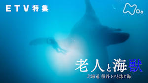 ＥＴＶ特集　老人と海獣　～北海道　積丹　トドと泳ぐ海～
