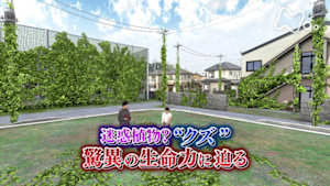 サイエンスＺＥＲＯ　迷惑植物？“クズ”驚異の生命力に迫る