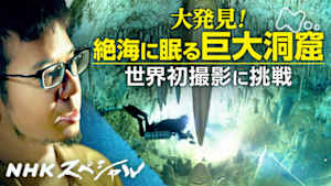 Ｎスペ　絶海に眠る巨大洞窟　～南大東島・驚異の水中世界～