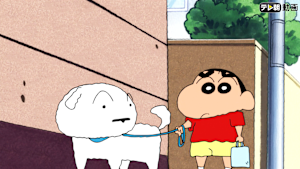 シロのお散歩は大変！だゾ