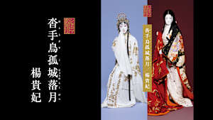 シネマ歌舞伎 沓手鳥孤城落月／楊貴妃