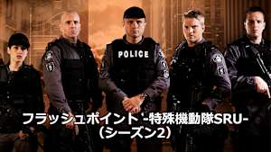 フラッシュポイント -特殊機動隊SRU-