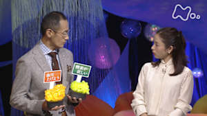 Ｎスペ　シリーズ　人体　神秘の巨大ネットワーク　第１集　“腎臓”が寿命を決める