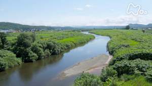 小さな旅　北の清流　絶えまなく　～北海道　後志利別川～