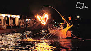 新日本風土記　踊る長良川