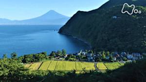 小さな旅　青　澄みわたる海　～静岡県　沼津市井田～