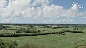 小さな旅　島づくりの心　つないで　～沖縄県　南大東島～