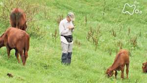 小さな旅　命　語りかけて　～岩手県　岩泉町～