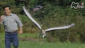 時をかけるテレビ～今こそ見たい！この１本～　鶴になった男～釧路湿原・タンチョウふれあい日記～