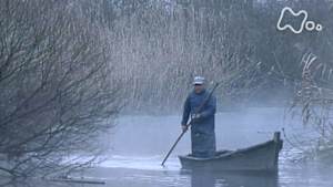 時をかけるテレビ～今こそ見たい！この１本～　映像詩　里山　命めぐる水辺