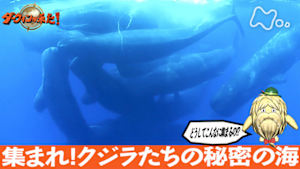 ダーウィンが来た！　集まれ！クジラたちの秘密の海