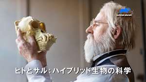 【見逃し】ヒトとサル：ハイブリッド生物の科学