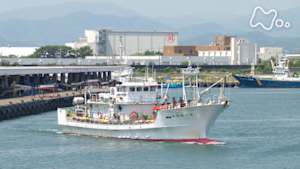 小さな旅　覚悟の船　～静岡県　焼津小川～