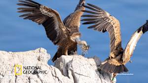 【見逃し】世界大自然紀行：クロアチア