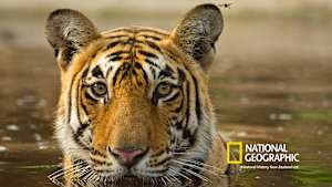 【見逃し】世界大自然紀行：アジアの秘境 総集編