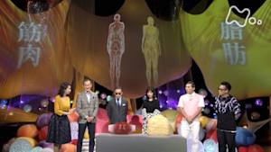 Ｎスペ　シリーズ　人体　神秘の巨大ネットワーク　第２集　驚きのパワー！“脂肪と筋肉”が命を守る