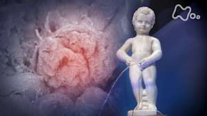 シリーズ　人体　神秘の巨大ネットワーク　第一集　“腎臓”が寿命を決める