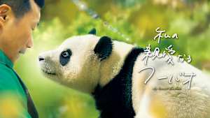 私の親愛なるフーバオ