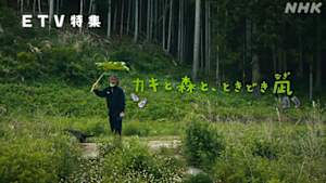 ＥＴＶ特集　カキと森と、ときどき凪