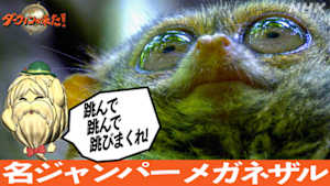 ダーウィンが来た！　跳んで跳んで跳びまくれ！名ジャンパー　メガネザル