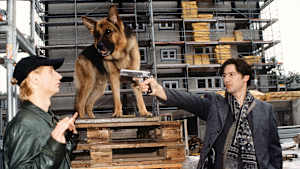 第12話 （最終話）凶器は赤いバラ