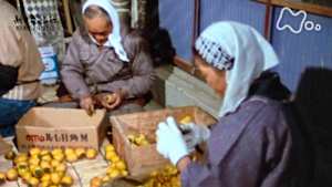 よみがえる新日本紀行　柿色に染まるむら～広島県御調町菅野～