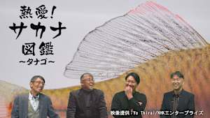 熱愛！サカナ図鑑 13 / ～タナゴ～