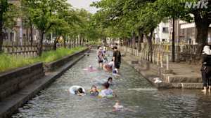 新日本風土記　葛飾　柴又　水の旅