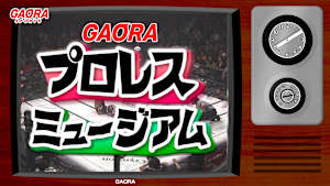 GAORAプロレスミュージアム「闘龍門　ベストセレクション①」 #42