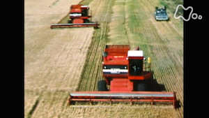 時をかけるテレビ～今こそ見たい！この１本～　食卓のかげの星条旗　米と小麦の戦後史