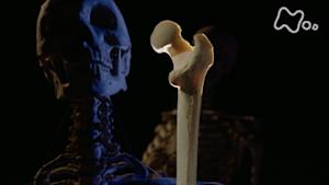 シリーズ　人体　神秘の巨大ネットワーク　第三集　“骨”が出す！最高の若返り物質