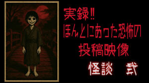 実録！！ほんとにあった恐怖の投稿映像 怪談 弐