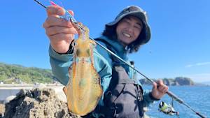 【追/見】SOUL JERKER 20 秋田男鹿×秋エギング